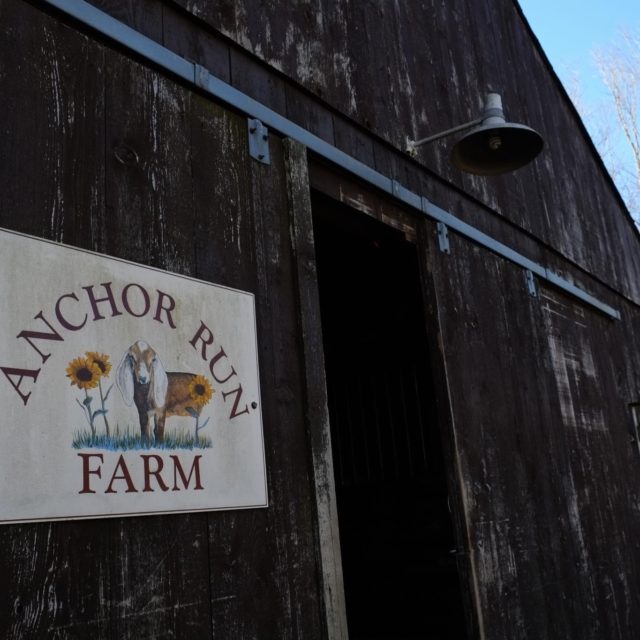 Anchor Run Farms| CSA | Newtown Bucks County PA